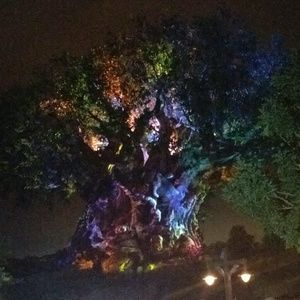 Meet your Posher, Charlene